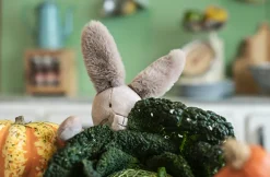 Cottontails Baby Soft Toy Bunnies|Bunnies For Babies|Moulin Roty Clay the Bunny - 35cm