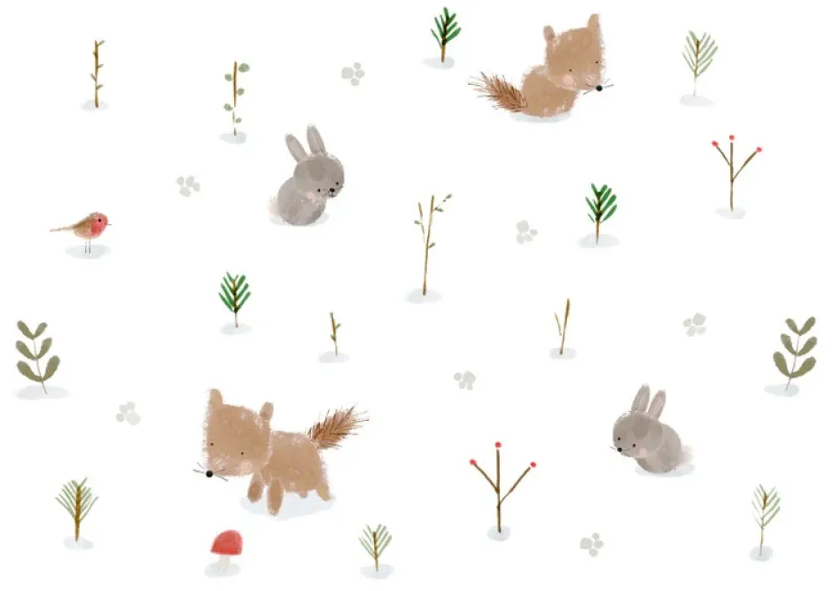 Cottontails Baby Cards|Bunny Cards & Stationery|Postcard & Envelope - Fox & Bunny Woodland