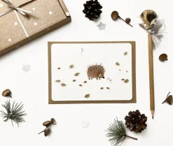 Cottontails Baby Cards|Postcard & Envelope - Little Hedgehog