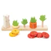 Cottontails Baby Wooden Bunnies|Wooden Toys|Tender Leaf Wooden Toy - Counting Carrots