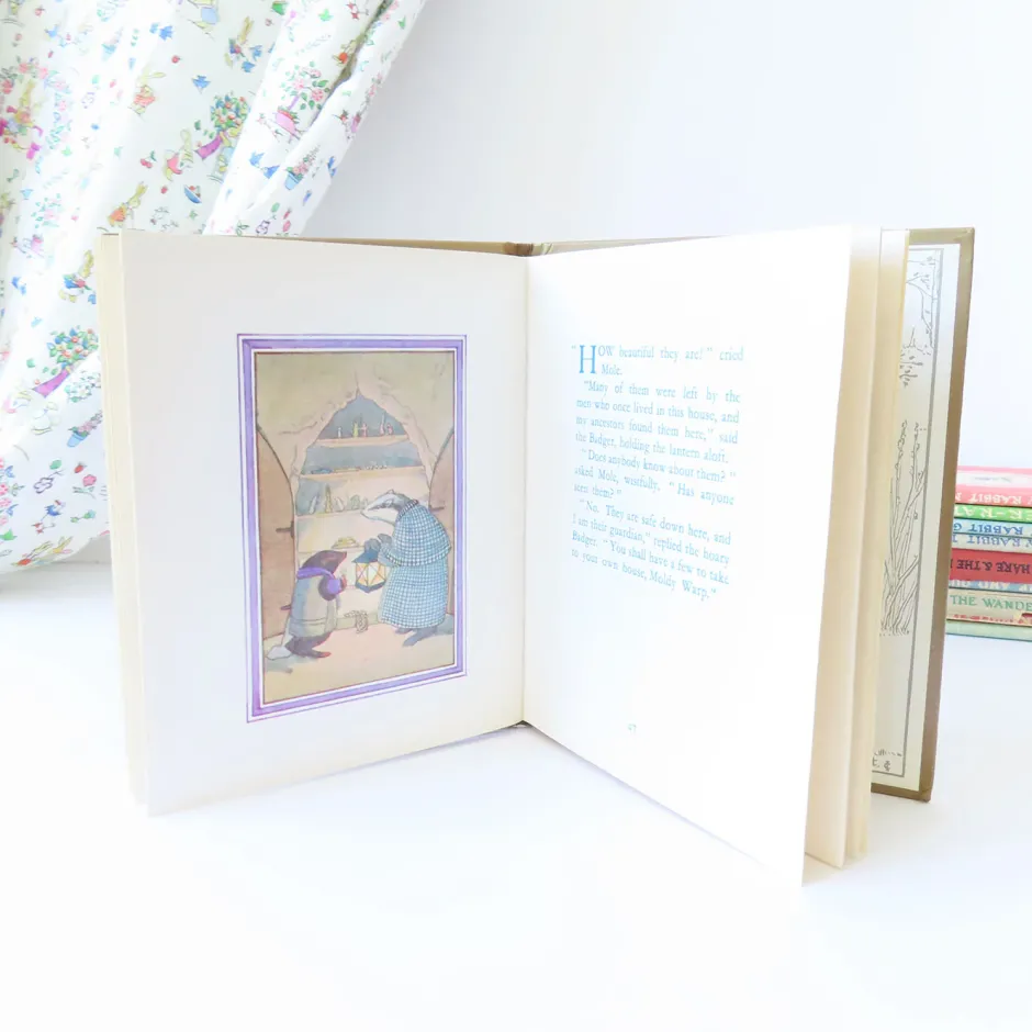 Cottontails Baby Vintage|Vintage Bunnies|VINTAGE book - Moldy warp the Mole (1975)