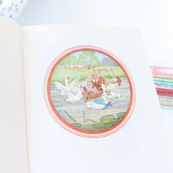 Cottontails Baby Vintage|Vintage Bunnies|VINTAGE book - Water-Rat's Picnic (1969)