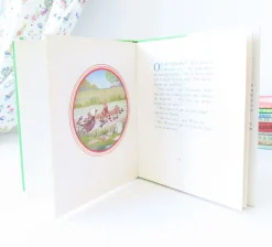 Cottontails Baby Vintage|Vintage Bunnies|VINTAGE book - Water-Rat's Picnic (1969)