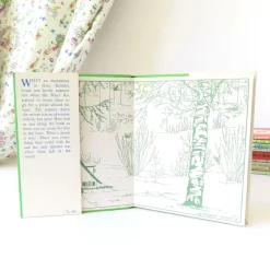 Cottontails Baby Vintage|Vintage Bunnies|VINTAGE book - Water-Rat's Picnic (1969)