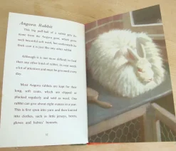 Cottontails Baby Vintage|VINTAGE Ladybird - Book of Pets (1967)