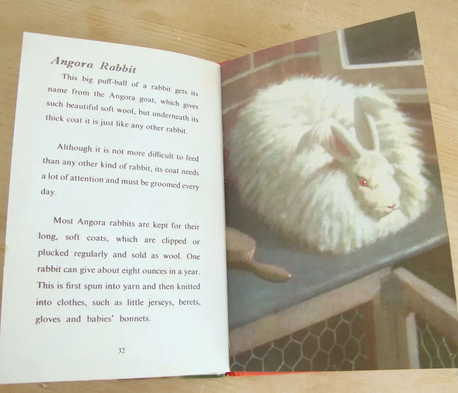 Cottontails Baby Vintage|VINTAGE Ladybird - Book of Pets (1967)