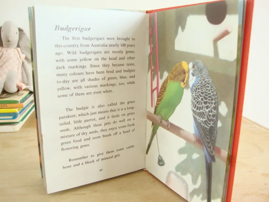 Cottontails Baby Vintage|VINTAGE Ladybird - Book of Pets (1967)