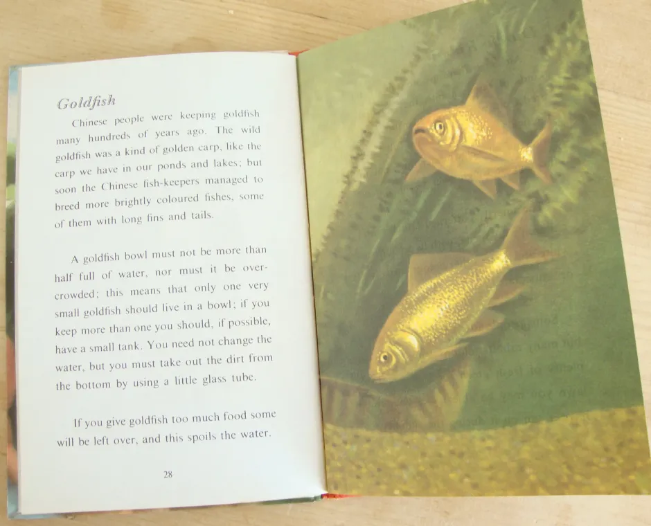 Cottontails Baby Vintage|VINTAGE Ladybird - Book of Pets (1967)