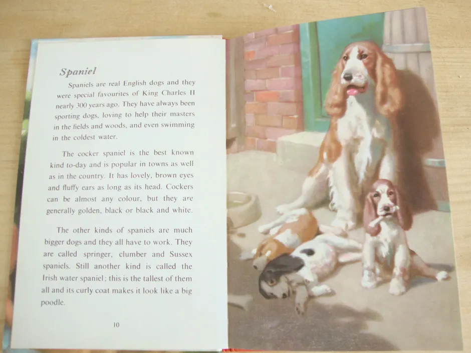 Cottontails Baby Vintage|VINTAGE Ladybird - Book of Pets (1967)