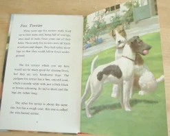 Cottontails Baby Vintage|VINTAGE Ladybird - Book of Pets (1967)