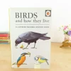 Cottontails Baby Vintage|VINTAGE Ladybird book - Birds and How They Live (1969)