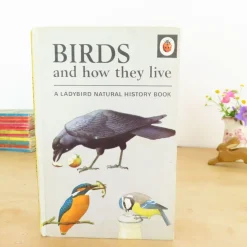 Cottontails Baby Vintage|VINTAGE Ladybird book - Birds and How They Live (1969)