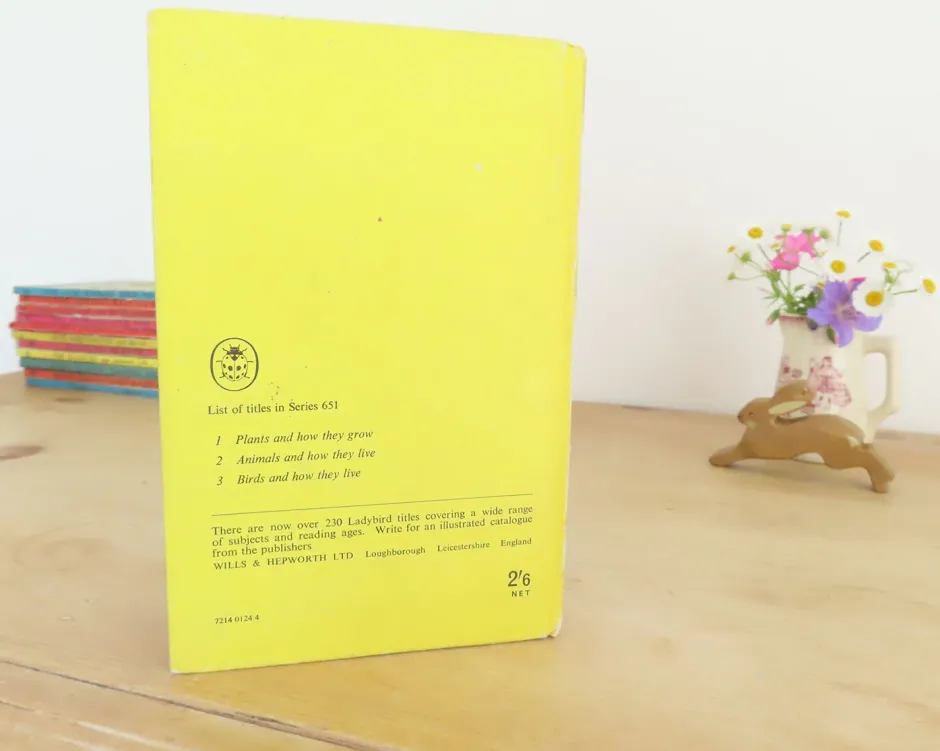 Cottontails Baby Vintage|VINTAGE Ladybird book - Birds and How They Live (1969)