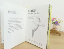 Cottontails Baby Vintage|VINTAGE Ladybird book - Birds and How They Live (1969)