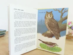 Cottontails Baby Vintage|VINTAGE Ladybird book - Birds and How They Live (1969)