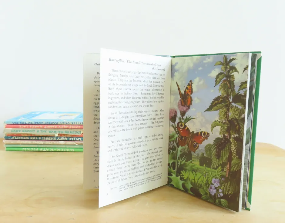 Cottontails Baby Vintage|VINTAGE Ladybird book - Butterflies. Moths and Other Insects (1974/5)