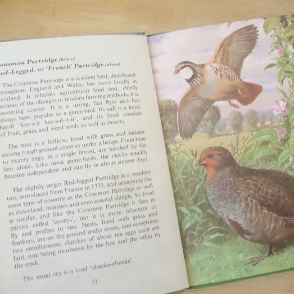 Cottontails Baby Vintage|VINTAGE Ladybird book - Heath & Woodland Birds (mid 1970s)