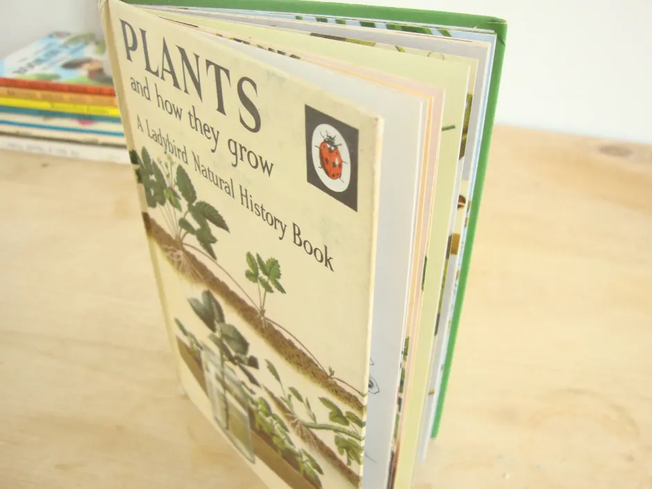 Cottontails Baby Vintage|VINTAGE Ladybird book - Plants and how they Grow (c. 1971)