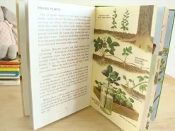 Cottontails Baby Vintage|VINTAGE Ladybird book - Plants and how they Grow (c. 1971)
