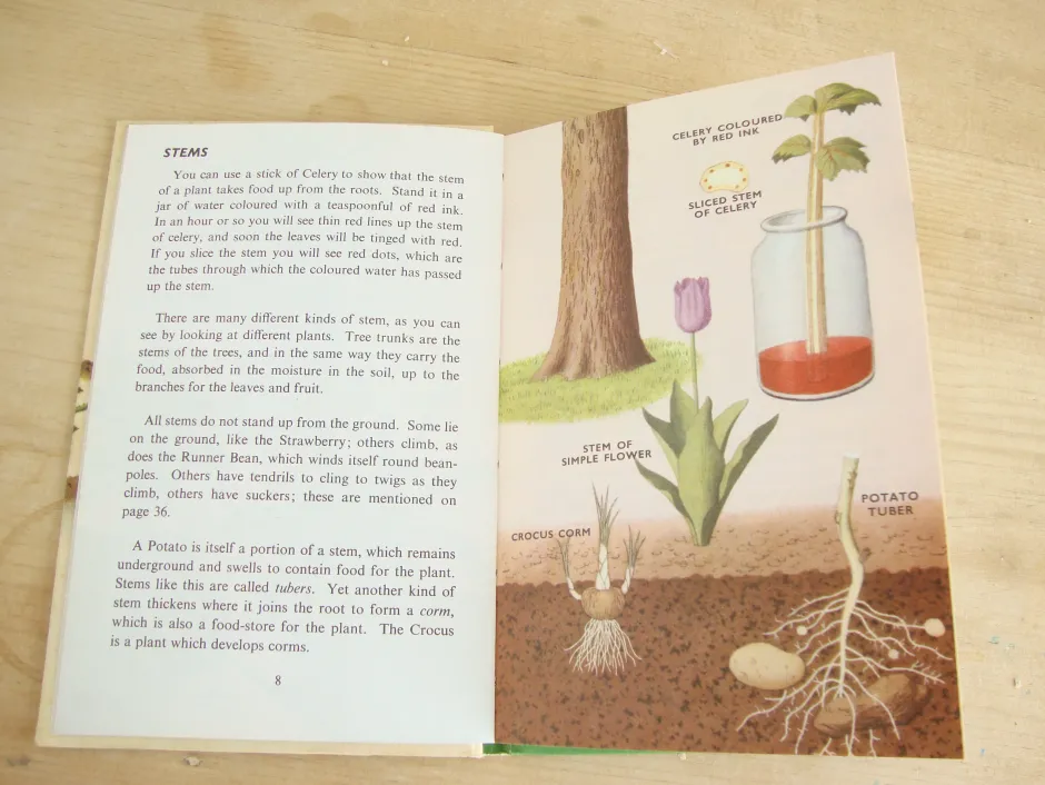 Cottontails Baby Vintage|VINTAGE Ladybird book - Plants and how they Grow (c. 1971)