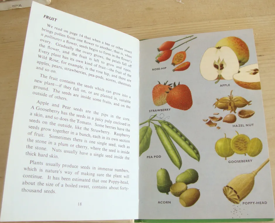Cottontails Baby Vintage|VINTAGE Ladybird book - Plants and how they Grow (c. 1971)
