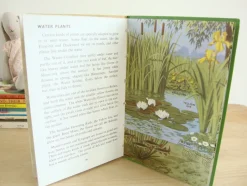 Cottontails Baby Vintage|VINTAGE Ladybird book - Plants and how they Grow (c. 1971)