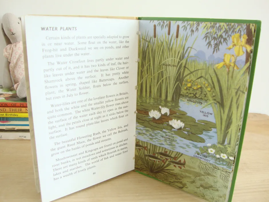 Cottontails Baby Vintage|VINTAGE Ladybird book - Plants and how they Grow (c. 1971)