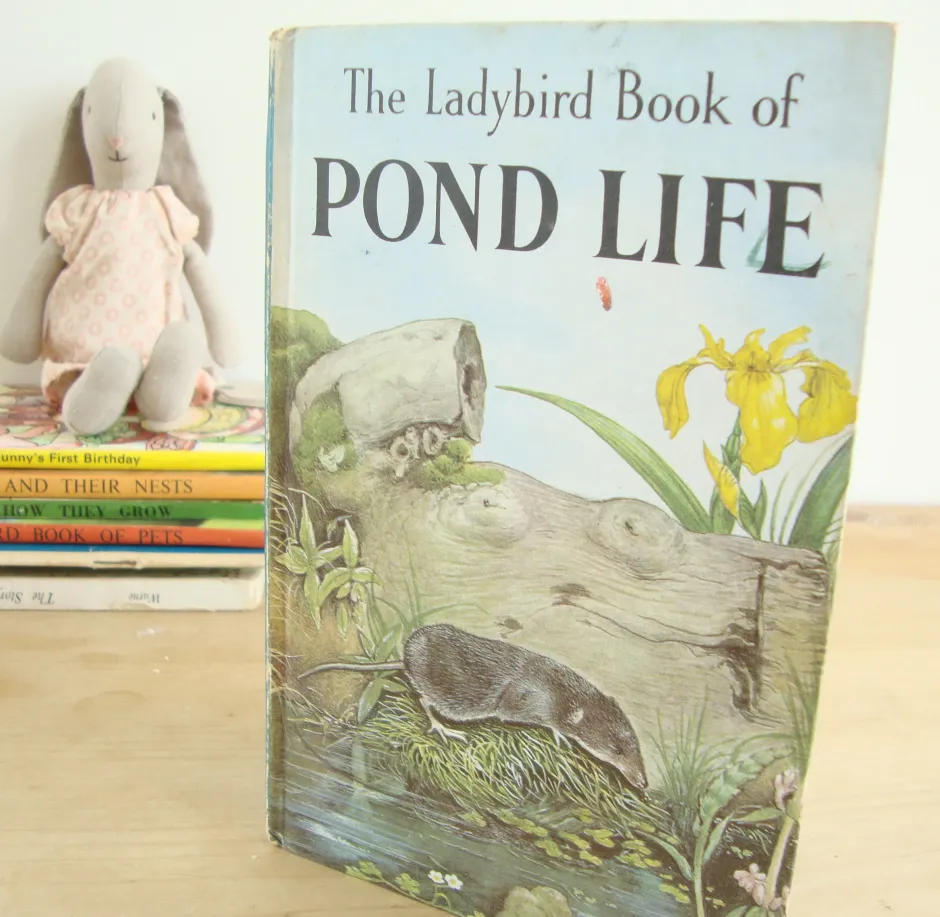 Cottontails Baby Vintage|VINTAGE Ladybird book - Pond Life (1966)