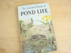 Cottontails Baby Vintage|VINTAGE Ladybird book - Pond Life (1966)