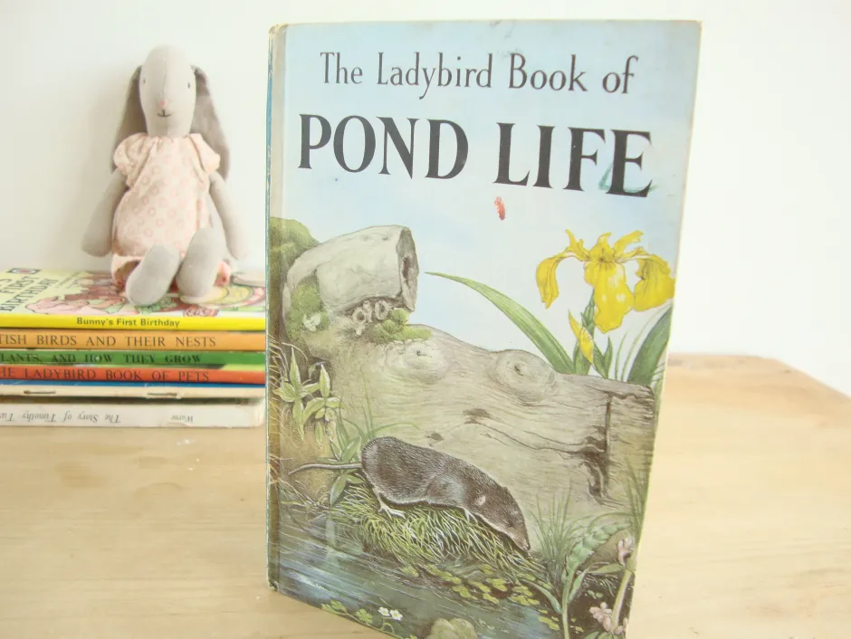 Cottontails Baby Vintage|VINTAGE Ladybird book - Pond Life (1966)