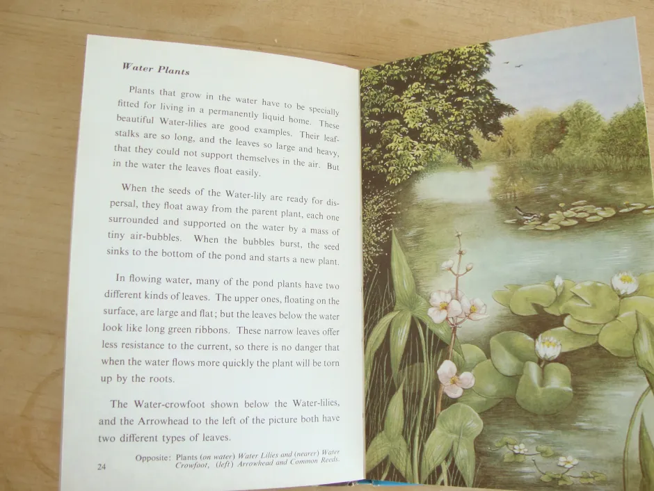 Cottontails Baby Vintage|VINTAGE Ladybird book - Pond Life (1966)