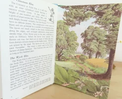 Cottontails Baby Vintage|VINTAGE Ladybird book - Trees (1970s)