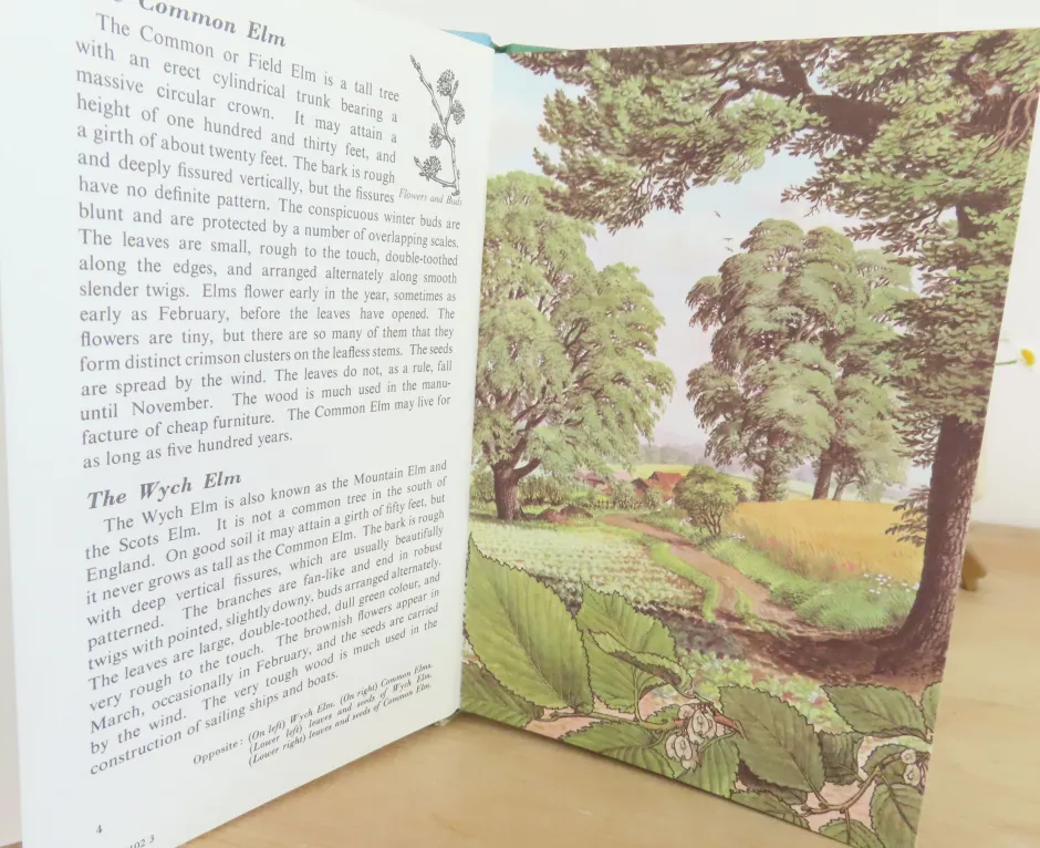 Cottontails Baby Vintage|VINTAGE Ladybird book - Trees (1970s)