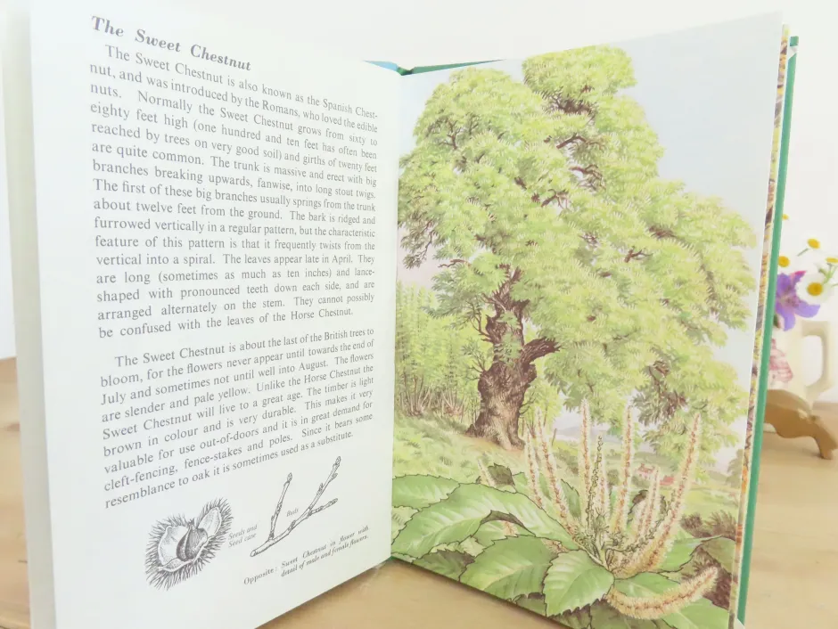 Cottontails Baby Vintage|VINTAGE Ladybird book - Trees (1970s)