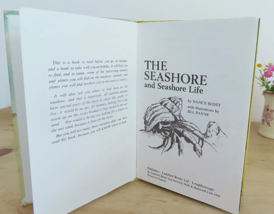 Cottontails Baby Vintage|VINTAGE Ladybird book - The Seashore (1970s)