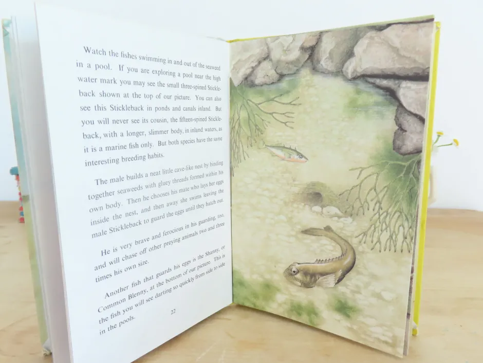 Cottontails Baby Vintage|VINTAGE Ladybird book - The Seashore (1970s)