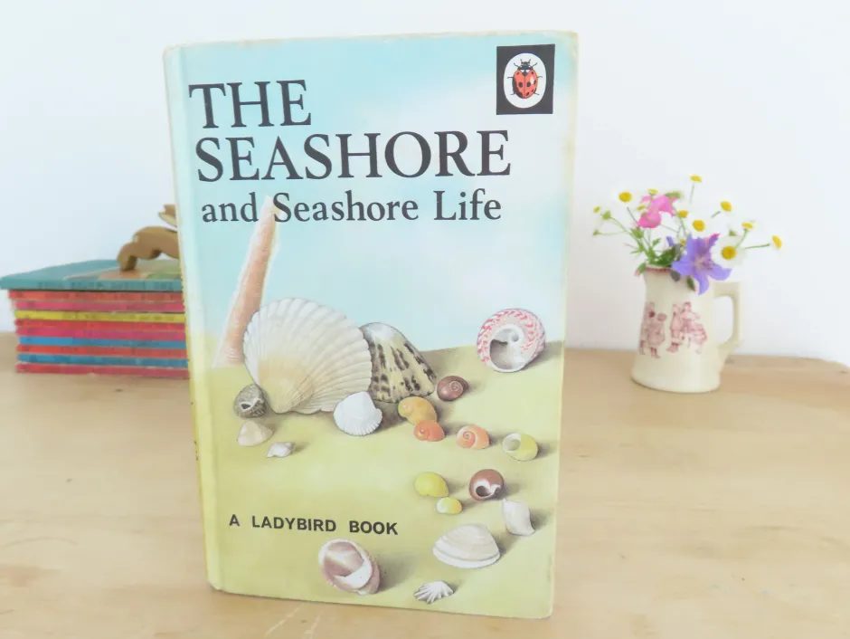 Cottontails Baby Vintage|VINTAGE Ladybird book - The Seashore (1970s)