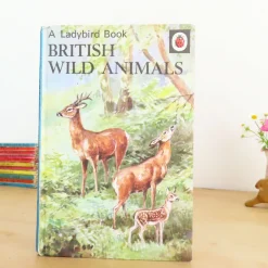 Cottontails Baby Vintage|VINTAGE Ladybird book - British Wild Animals (1971)