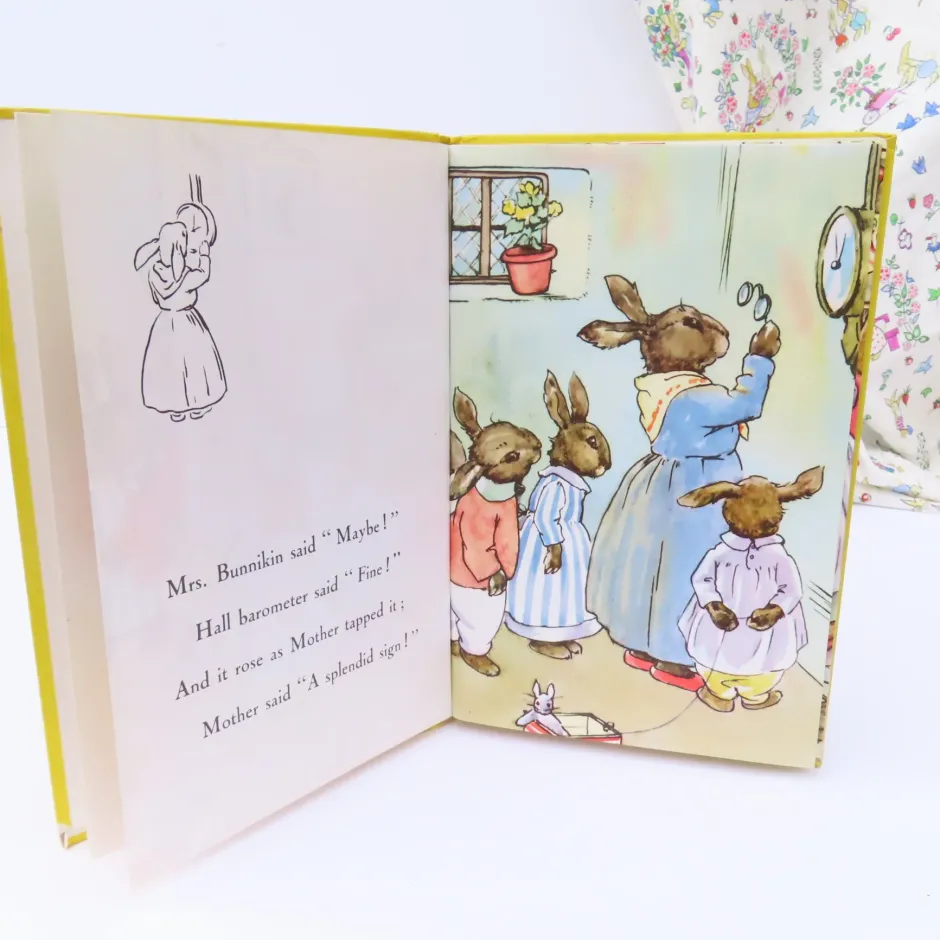 Cottontails Baby Vintage|Vintage Bunnies|VINTAGE Ladybird book - Bunnikin's Picnic Party (1971)