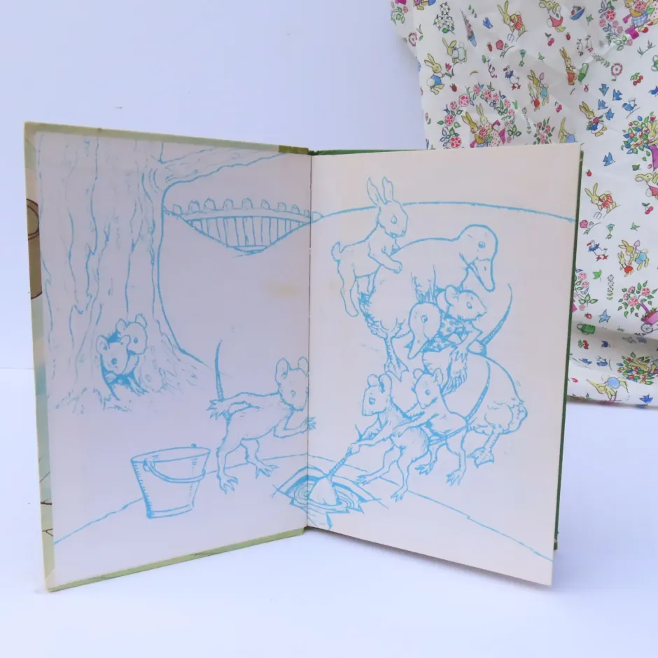 Cottontails Baby Vintage|VINTAGE Ladybird book - Downy Duckling (1974)