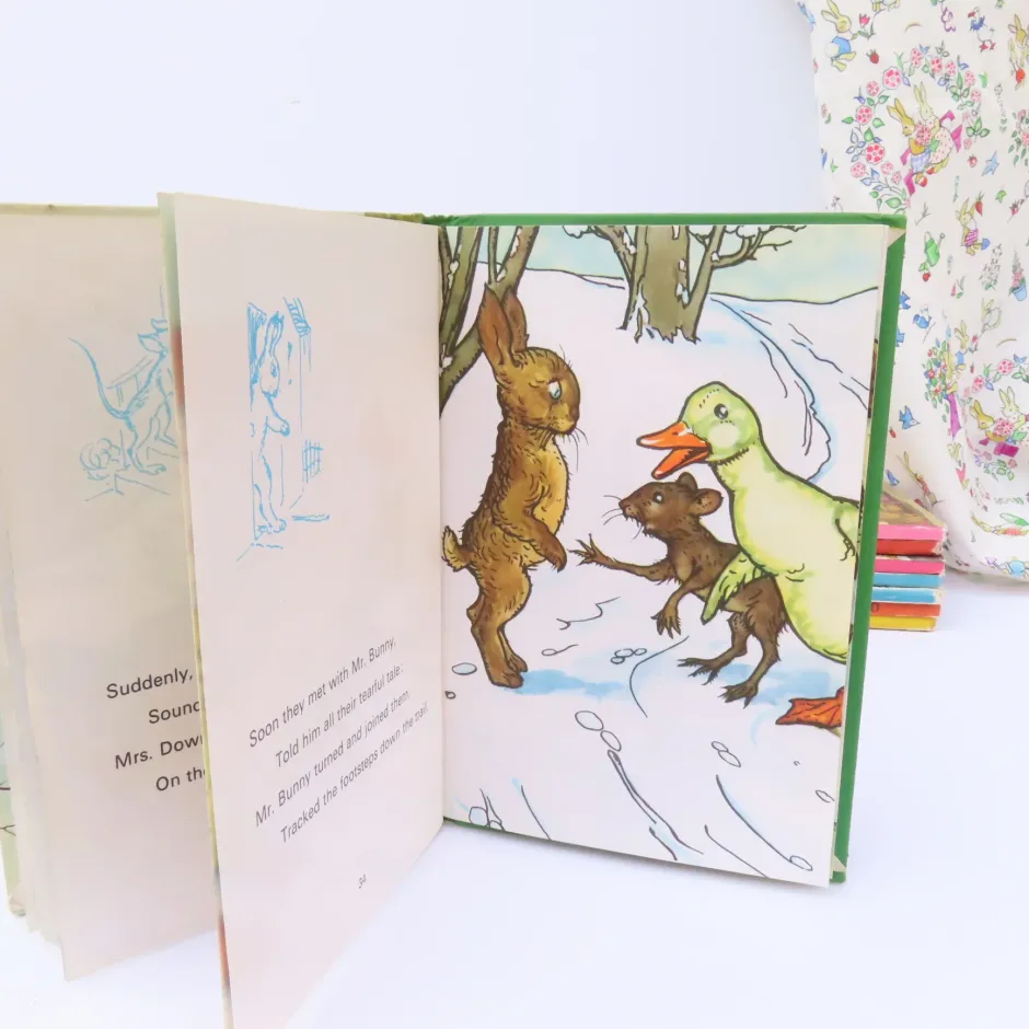 Cottontails Baby Vintage|VINTAGE Ladybird book - Downy Duckling (1974)