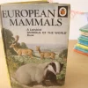 Cottontails Baby Vintage|VINTAGE Ladybird book - European Mammals (early 1970s)