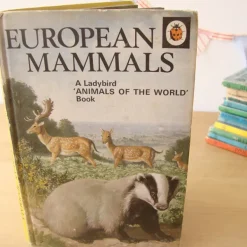 Cottontails Baby Vintage|VINTAGE Ladybird book - European Mammals (early 1970s)