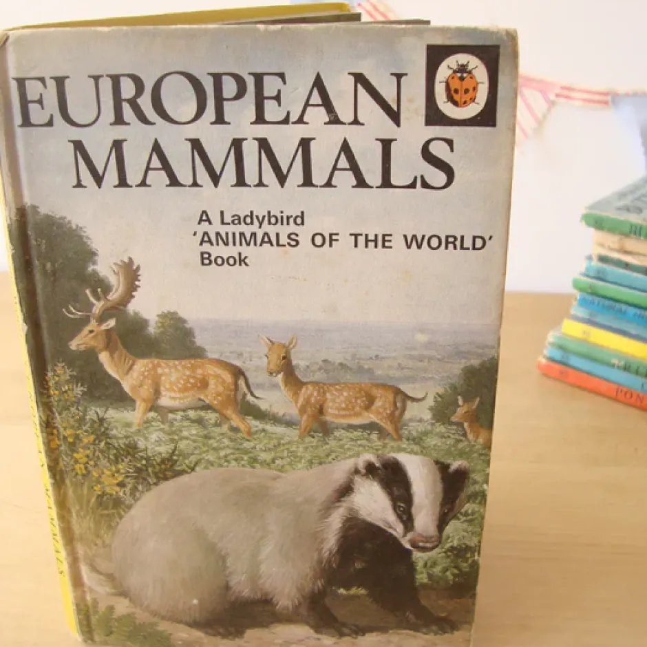 Cottontails Baby Vintage|VINTAGE Ladybird book - European Mammals (early 1970s)