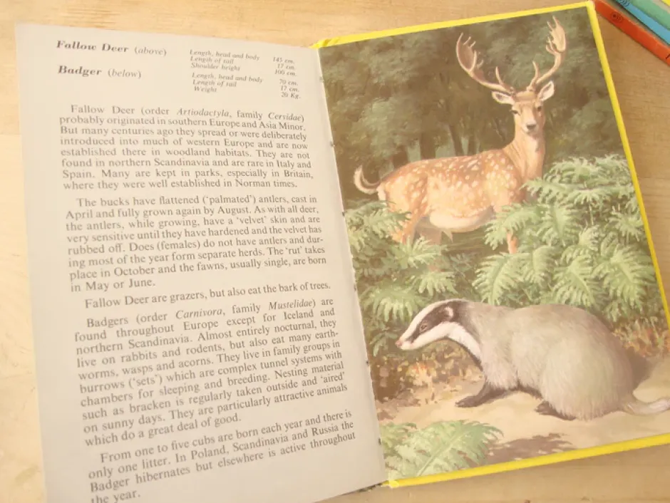 Cottontails Baby Vintage|VINTAGE Ladybird book - European Mammals (early 1970s)