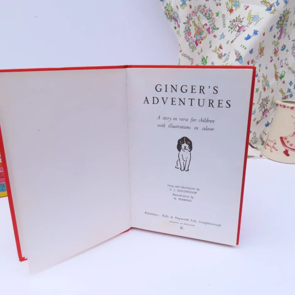 Cottontails Baby Vintage|VINTAGE Ladybird book - Ginger's Adventures (mid 1960s)