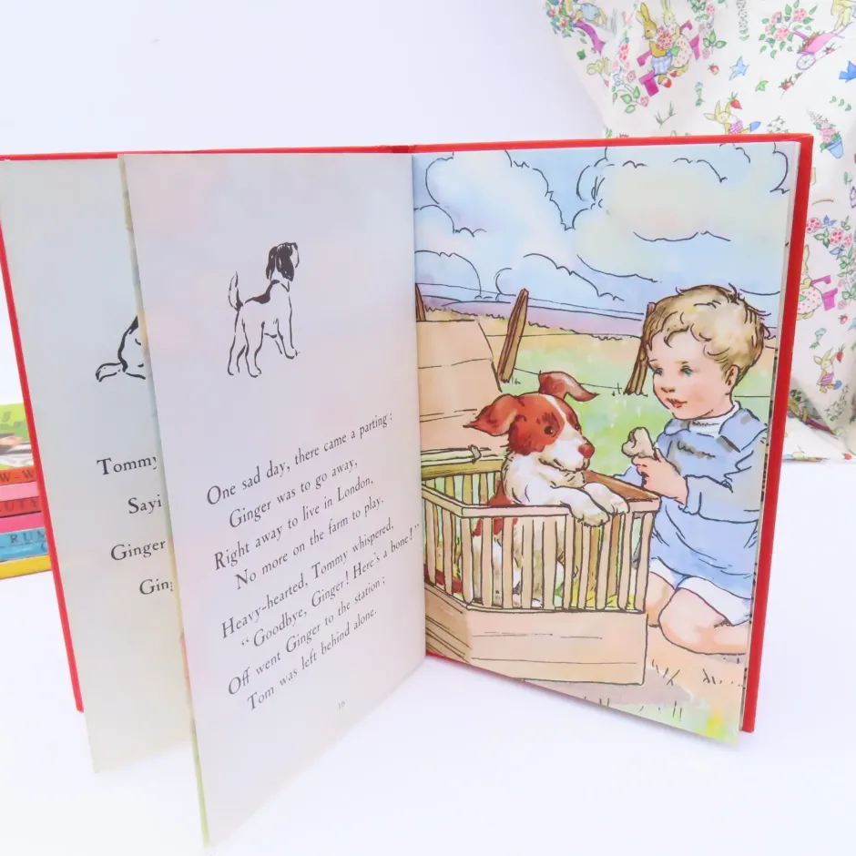 Cottontails Baby Vintage|VINTAGE Ladybird book - Ginger's Adventures (mid 1960s)