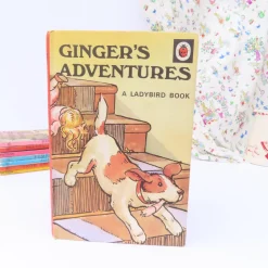 Cottontails Baby Vintage|VINTAGE Ladybird book - Ginger's Adventures (1974)