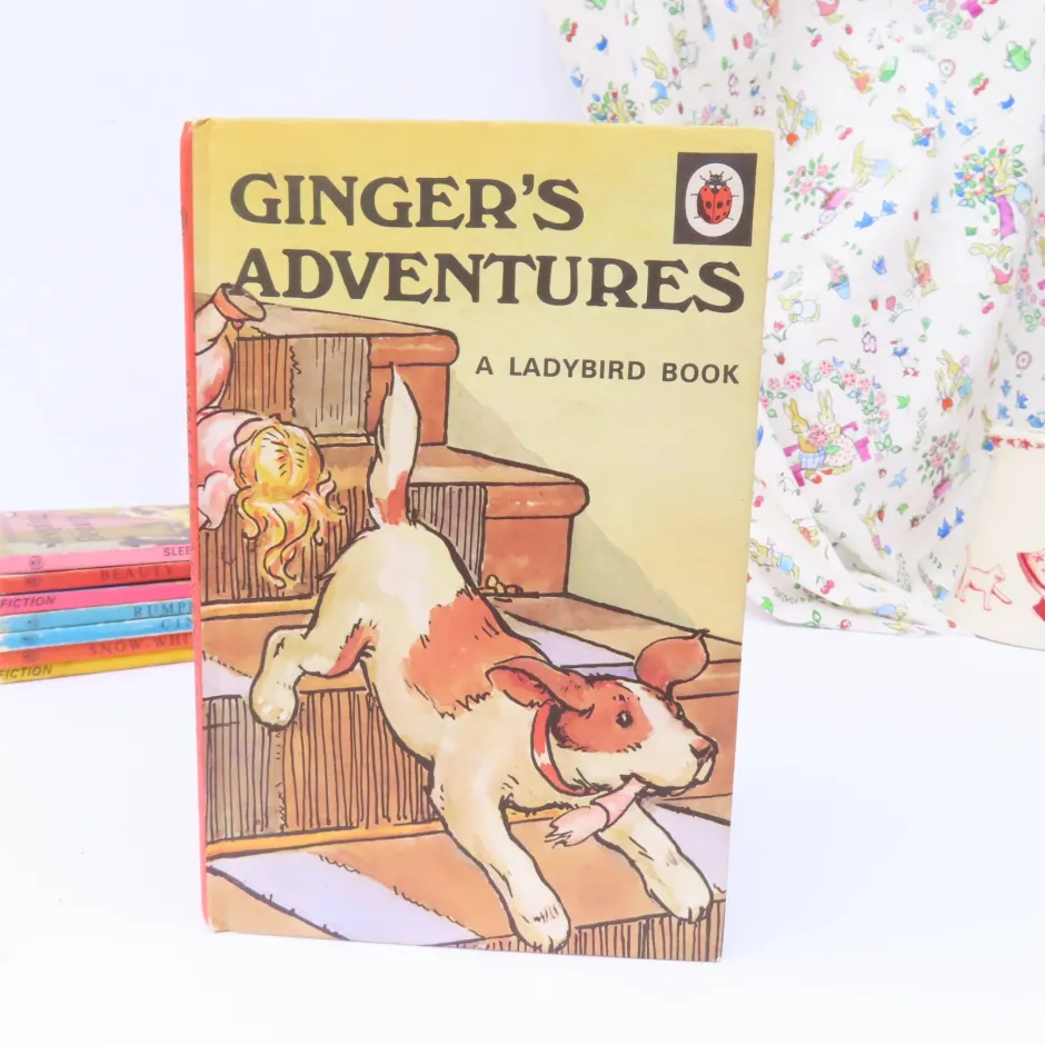 Cottontails Baby Vintage|VINTAGE Ladybird book - Ginger's Adventures (1974)