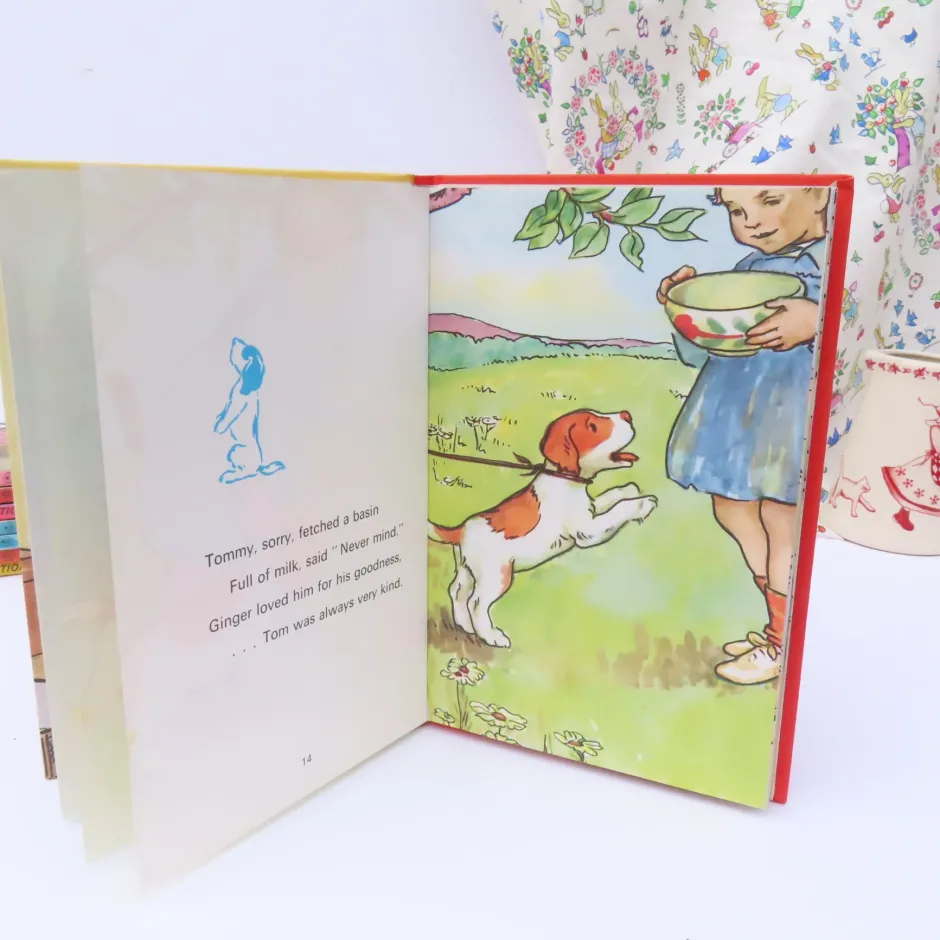 Cottontails Baby Vintage|VINTAGE Ladybird book - Ginger's Adventures (1974)